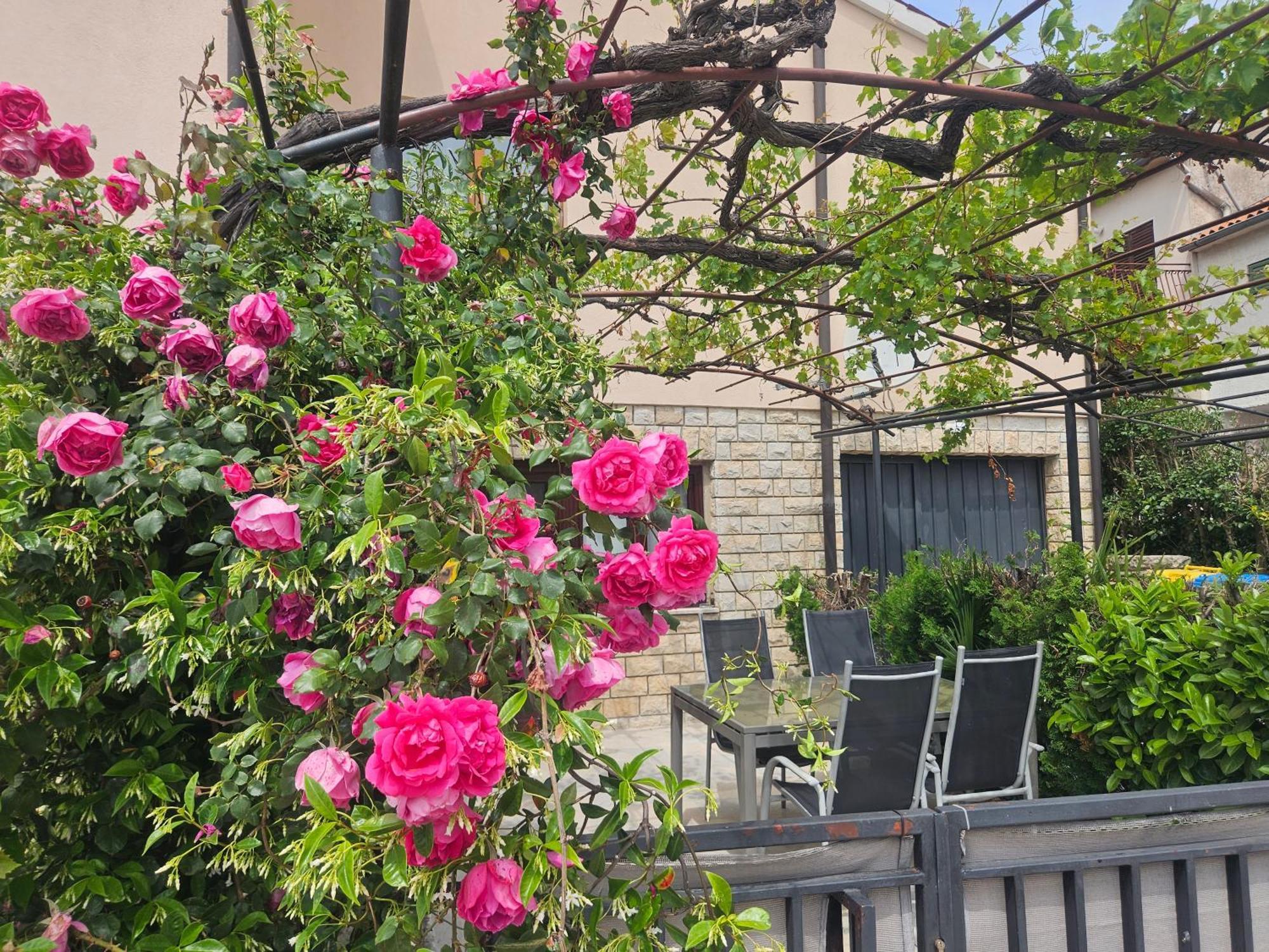 ורסאר Studio Apartments Igor מראה חיצוני תמונה