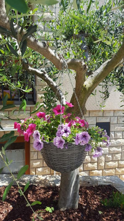 ורסאר Studio Apartments Igor מראה חיצוני תמונה